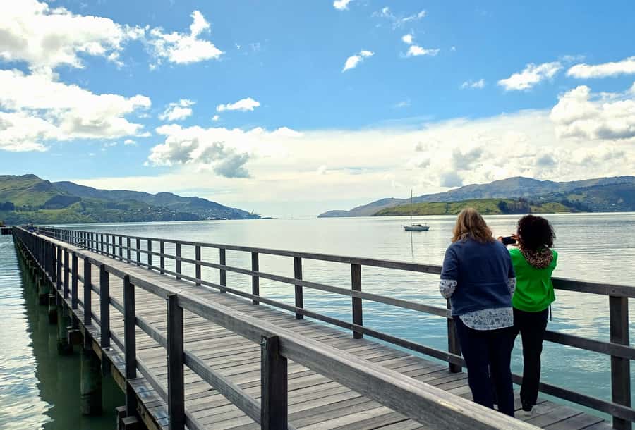 Christchurch: 1/2-Day Scenic Highlights Small Group Tour - Price, value, and why $178 can make sense for a half-day