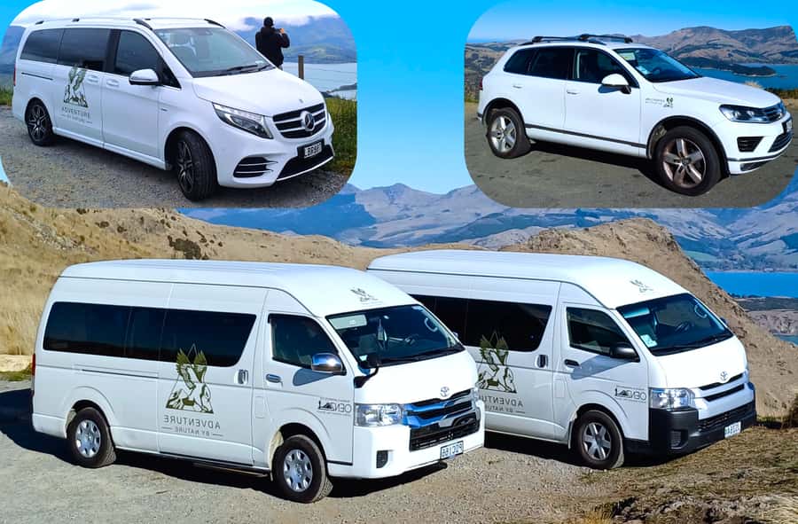 Christchurch: 1/2-Day Scenic Highlights Small Group Tour - Who should book, and who might want a different style