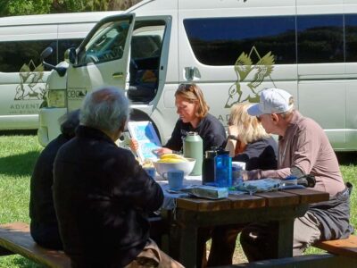 Akaroa and Banks Peninsula Day Trip