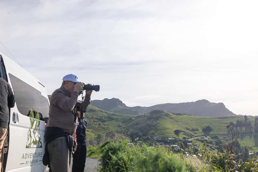 Christchurch: Akaroa and Banks Peninsula Day Trip - Akaroa town time: coffee, lunch, art, and a harbor you can’t rush