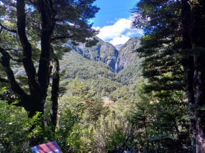 Arthur’s Pass & Castle Hill Scenic Day Tour
