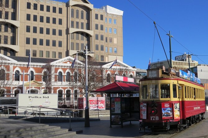 Christchurch City and Beaches Private Tesla Tour - What to pack and how to get the best photos in 6 hours