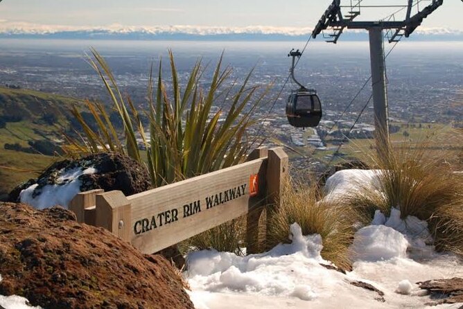 Christchurch City Full Day Private Tour - International Antarctic Centre: Learning Time With Your Ticket Outside the Package