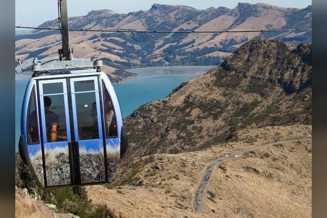 Christchurch City Full Day Private Tour - New Brighton Beach and the Air Force Museum: Ocean Air, Then Real Aviation