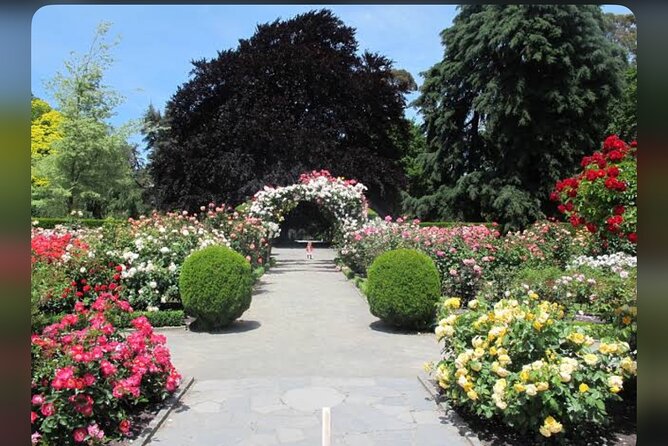 Christchurch City Full Day Private Tour - Guide Style, Timing, and Group Size Details That Affect Your Comfort