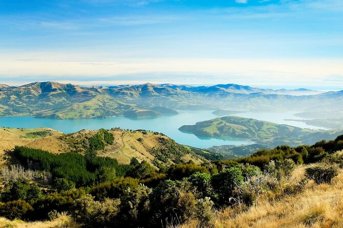 Christchurch City Highlights Half Day Tour - Timing and how to avoid feeling rushed