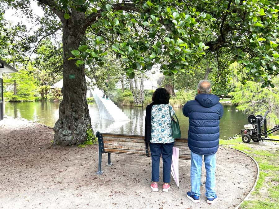Christchurch City Top Spots Half Day Tour(Small Group Tour) - Christchurch Botanic Gardens: blooms, photos, and a breather