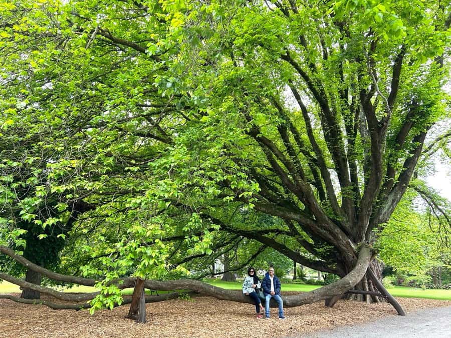 Christchurch City Top Spots Half Day Tour(Small Group Tour) - What to bring for a 4-hour day