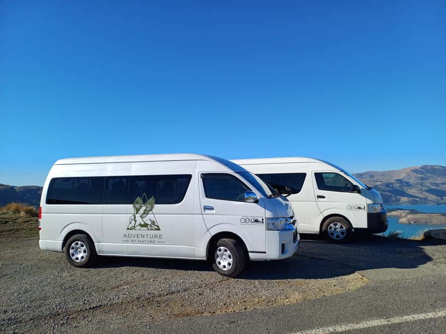 Christchurch: Full or Half-Day Rock Climbing Tour with Guide - The Views and Picnic Lunch Factor: Why the Break Is Part of the Experience