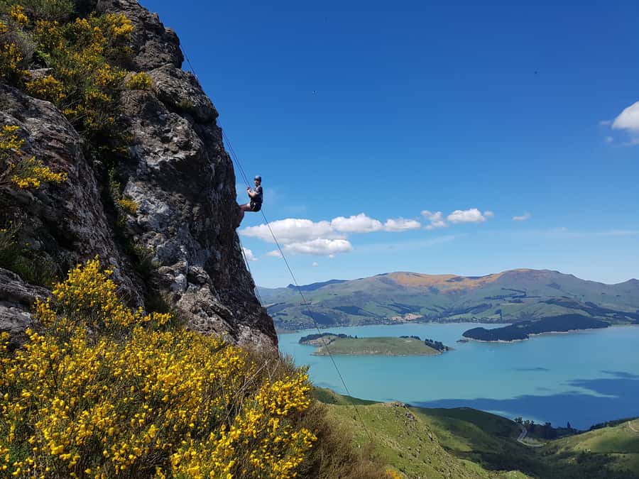 Christchurch: Full or Half-Day Rock Climbing Tour with Guide - What to Bring, and What the Day Feels Like at a Real Crag