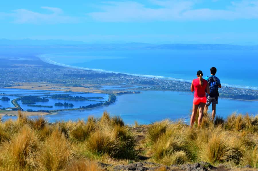 Christchurch: Full or Half-Day Rock Climbing Tour with Guide - From Meeting Point to Gear Check: How the Guide Sets You Up