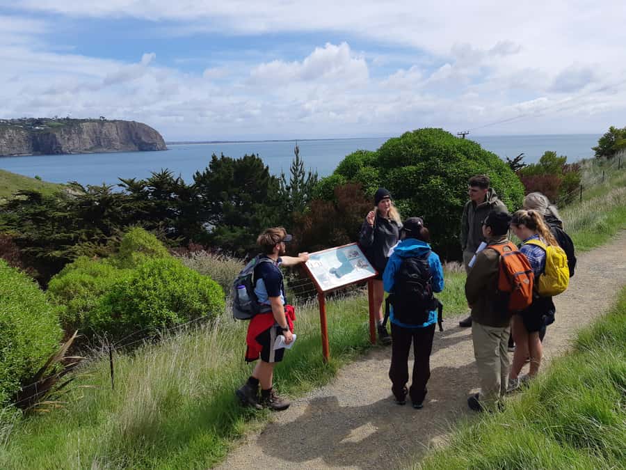 Christchurch: Godley Head & Lyttelton Guided Walking Tour - Key highlights worth planning for