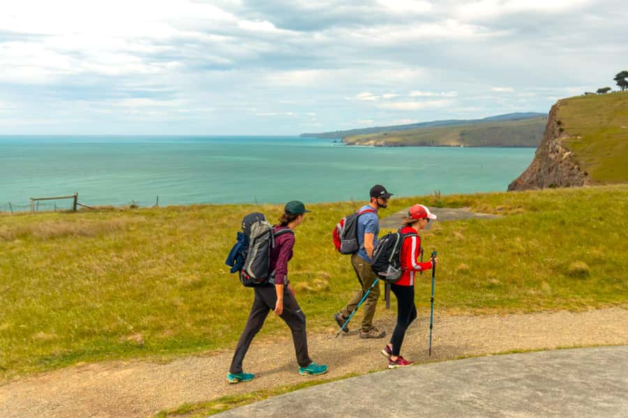 Christchurch: Godley Head & Lyttelton Guided Walking Tour - Christchurch to Lyttelton, road-tunnel start and port-town orientation