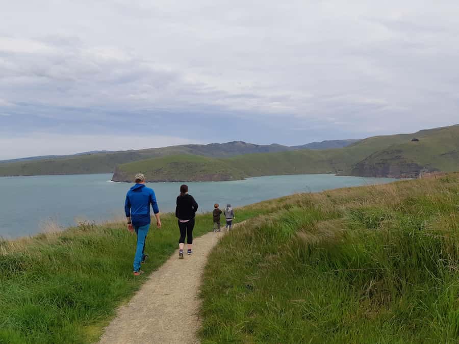 Christchurch: Godley Head & Lyttelton Guided Walking Tour - Godley Head loop track: WWII gun embattlements and real sea-level drama