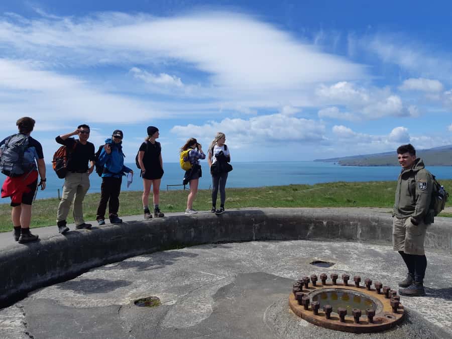 Christchurch: Godley Head & Lyttelton Guided Walking Tour - Price and value: is $178 per person a good deal?