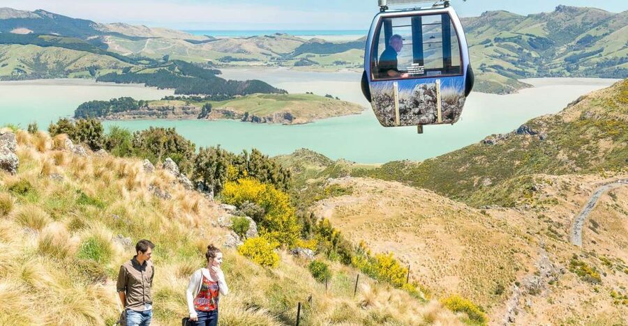 Christchurch Gondola and Tram City Tour Combo - Who Should Book This Combo, and Who Might Skip It