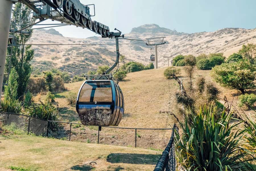 Christchurch: Gondola Ride - Nature trails at the top: walk time, sheep spotting, and uneven footing