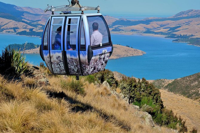 Christchurch Gondola Ride Ticket - Key Points Before You Go