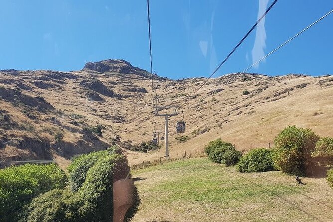 Christchurch Gondola Ride Ticket - Crowds, Cruise Ships, and Wind: How to Get the Best Day Possible