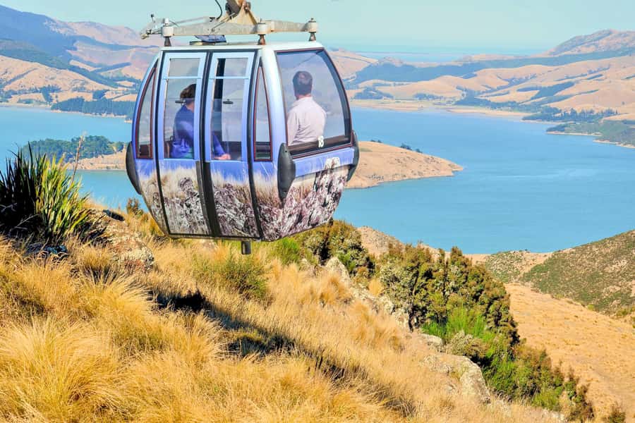 Christchurch: Gondola Ticket and Punt Ride on the Avon River - Best for, and who might skip this combo