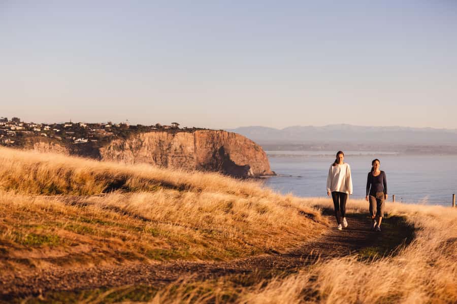 Christchurch: Guided Crater Rim Walk with Coastal Scenery - Key Things I’d Put on Your Radar