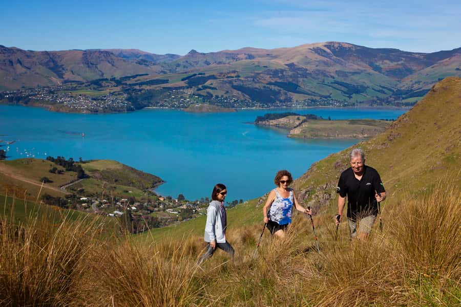 Christchurch: Guided Crater Rim Walk with Coastal Scenery - What’s Included, What You Should Bring, and How to Pack Smart