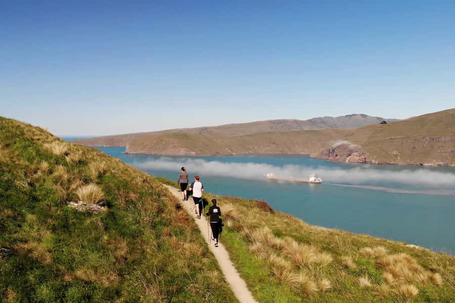 Christchurch: Guided Crater Rim Walk with Coastal Scenery - A Volcano Rim Walk That Feels Like a Day Trip