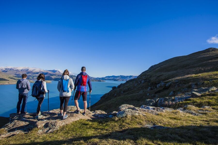 Christchurch: Guided Crater Rim Walk with Coastal Scenery - The Start From Christchurch or Lyttelton, and Why It Saves Time