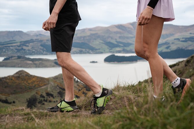 Christchurch Highlights Tour (Full Day Private) - Lyttelton Harbour Drive and Port Hills Views: Scenery With a Story