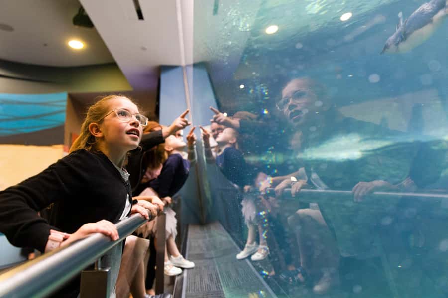 Christchurch International Antarctic Centre Entry Tickets - The Storm Experience Chamber: Feeling Cold at -18°C
