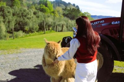 Lake Tekapo Stargazing & Mount Cook 2-Day Tour