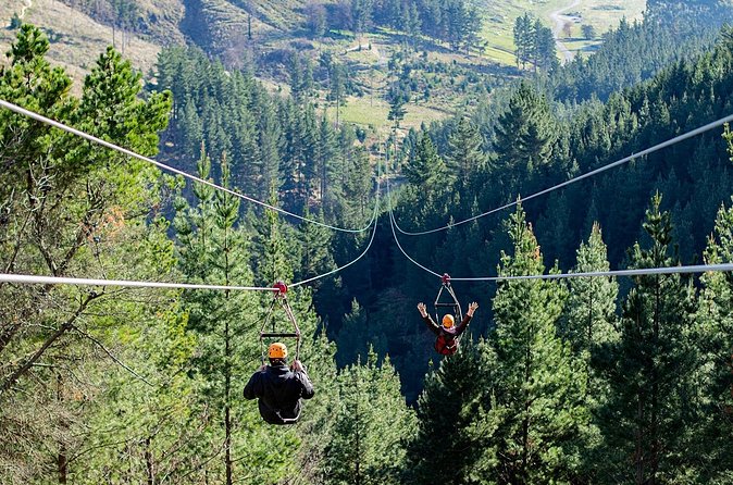 Christchurch Long Ride Zipline - Who This Short Zipline Course Is Perfect For