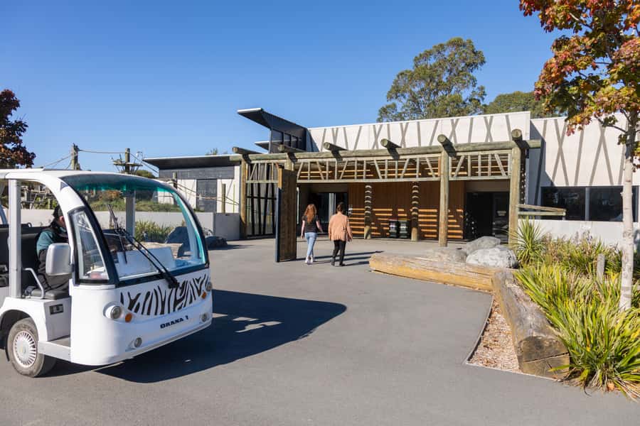 Christchurch: Orana Wildlife Park Admission - The giraffe feeding experience you’ll remember