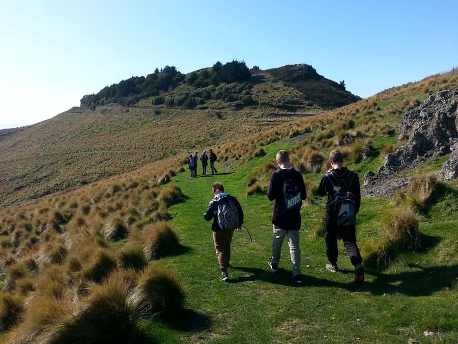 Christchurch: Packhorse Hut Guided Walk and Scenic Drive - Packhorse Hut, lunch with Lyttleton Harbour in your lap