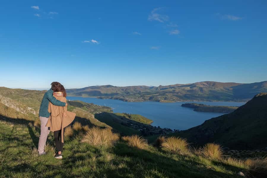 Christchurch: Packhorse Hut Guided Walk and Scenic Drive - Price and value: why $256 feels fair for this mix
