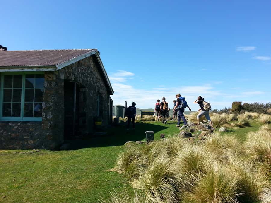 Christchurch: Packhorse Hut Guided Walk and Scenic Drive - What to wear and bring for a hike day