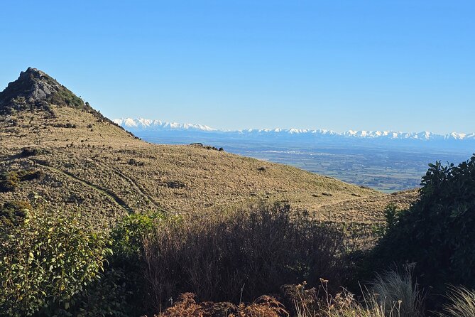 Christchurch Private Tour (Premium) Full day - A full day from Lyttelton Port to Gondola 360° views