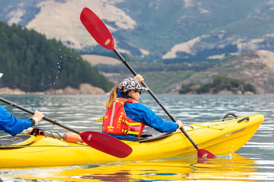 Christchurch: Sea Kayaking Tour of Lyttelton Harbour - Key Things You’ll Love About This Christchurch Kayak Tour