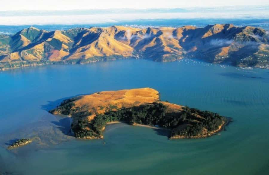 Christchurch: Sea Kayaking Tour of Lyttelton Harbour - Small Group Pace, Transport Time, and How to Manage Expectations