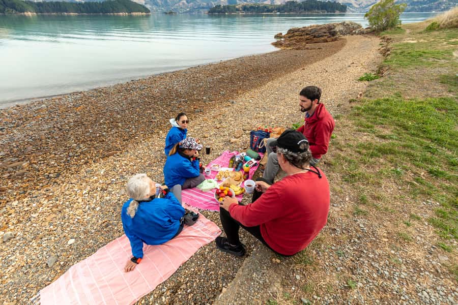 Christchurch: Sea Kayaking Tour of Lyttelton Harbour - Lunch on the Beach, Then Time to Explore Otamahua