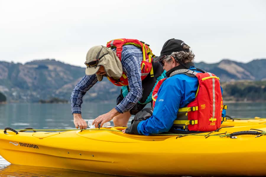 Christchurch: Sea Kayaking Tour of Lyttelton Harbour - When the Caves and Cliffs Show Up, and Why It Feels Special
