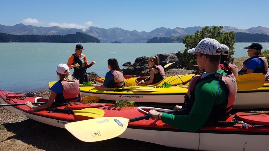 Christchurch: Sea Kayaking Tour of Lyttelton Harbour - Gear, Comfort, and What to Pack for an 8-Hour Water Day