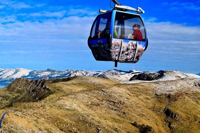 Christchurch Sightseeing Pass - Crowds, Weather, and the One Booking Step That Matters
