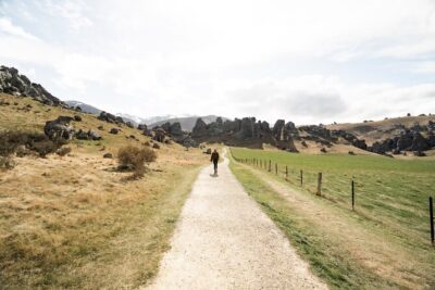 Christchurch to Franz Josef 1-Way Small Group Tour via Hokitika