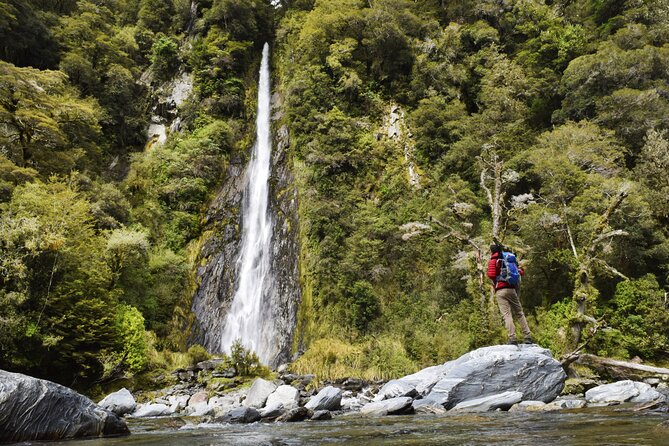 Christchurch to Queenstown 2 Day Tour via Franz Josef - Day 1 starts with Christchurch morning energy, then ramps up fast
