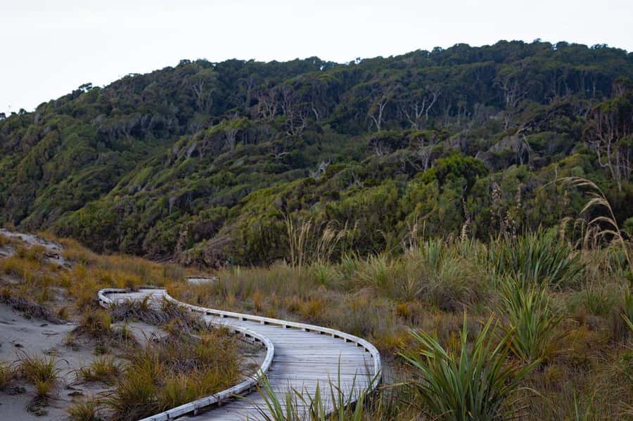 Christchurch to Queenstown via Franz Josef 2-Day Tour - The stops that deliver: Wanaka Tree, Blue Pools, and the waterfall factor