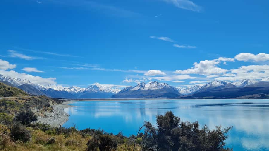 Christchurch: to Queenstown via Mt Cook 1 Way Tour - Lindis Pass and Jackson Orchards: photos, then a sweet reset