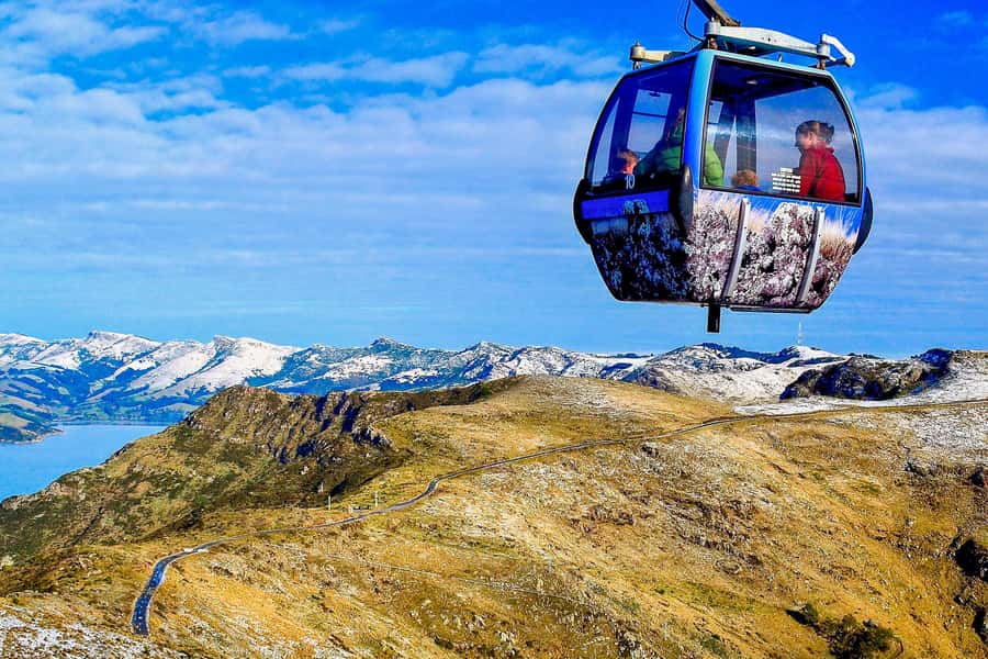 Christchurch: Tram, Punt and Gondola Ride Combo Ticket - Who should book this combo ticket?