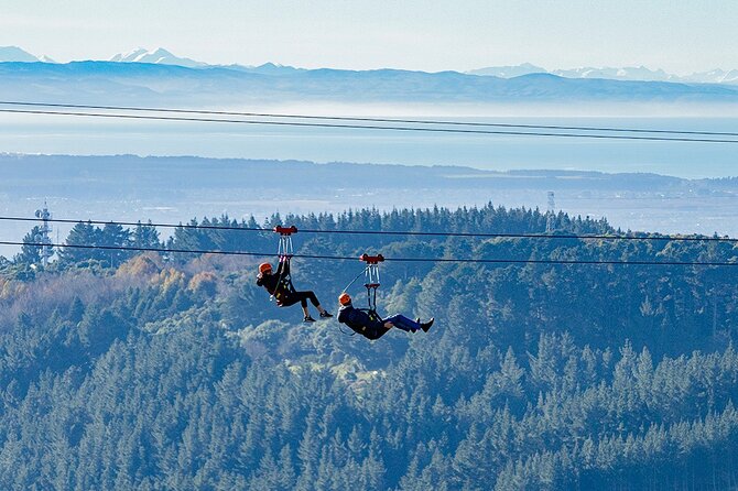 Christchurch Zipline Tour - Your four ziplines at Christchurch Adventure Park