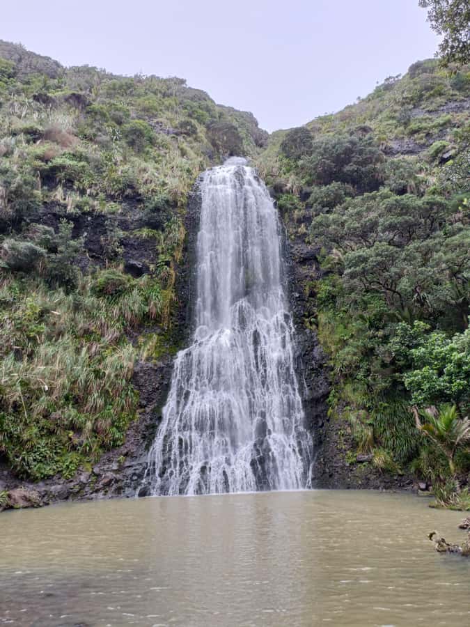 “City & Coast & Country” – A Relaxed Day Tour from Auckland - Key things I’d circle on your map